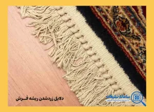 دلایل زرد شدن ریشه فرش چیست